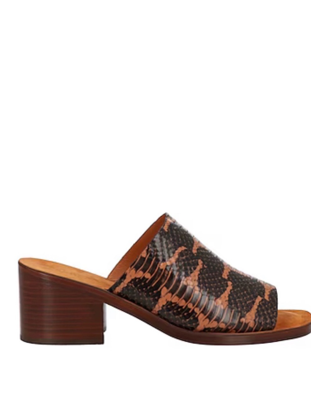 Clergerie Vinny Serpent Whips. Block Heel Mule